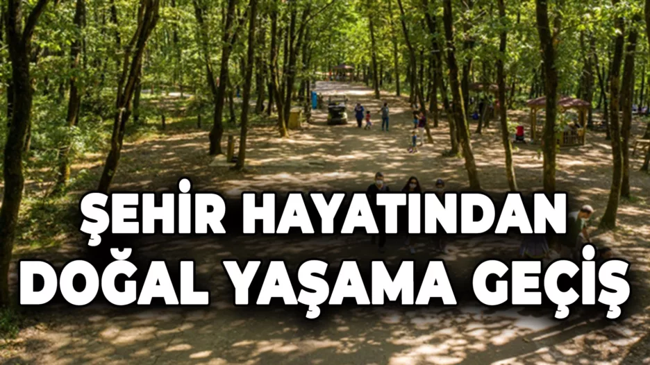 Şehir Hayatından Doğal Yaşama