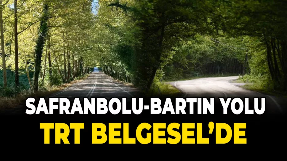 Bartın-Safranbolu Yolu: Doğal Güzelliklerin Büyüleyici Tüneli