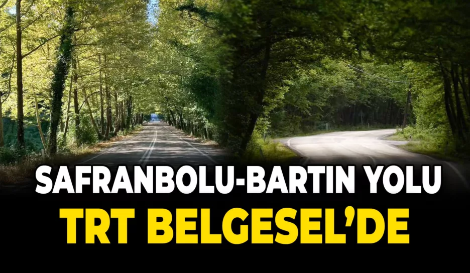 Bartın-Safranbolu Yolu: Doğal Güzelliklerin Büyüleyici Tüneli