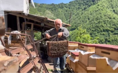 Arılar oğul verdi, babasının yeni koloni oluşturma sürecini film gibi çekti