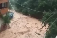 Artvin’de sel suları 4 köy yolunu ulaşıma kapattı