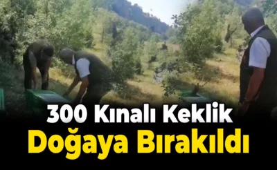 Karabük’te 300 kınalı keklik doğaya bırakıldı