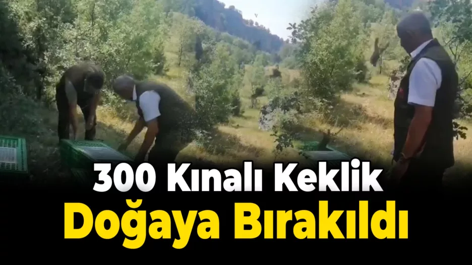 Karabük’te 300 kınalı keklik doğaya bırakıldı