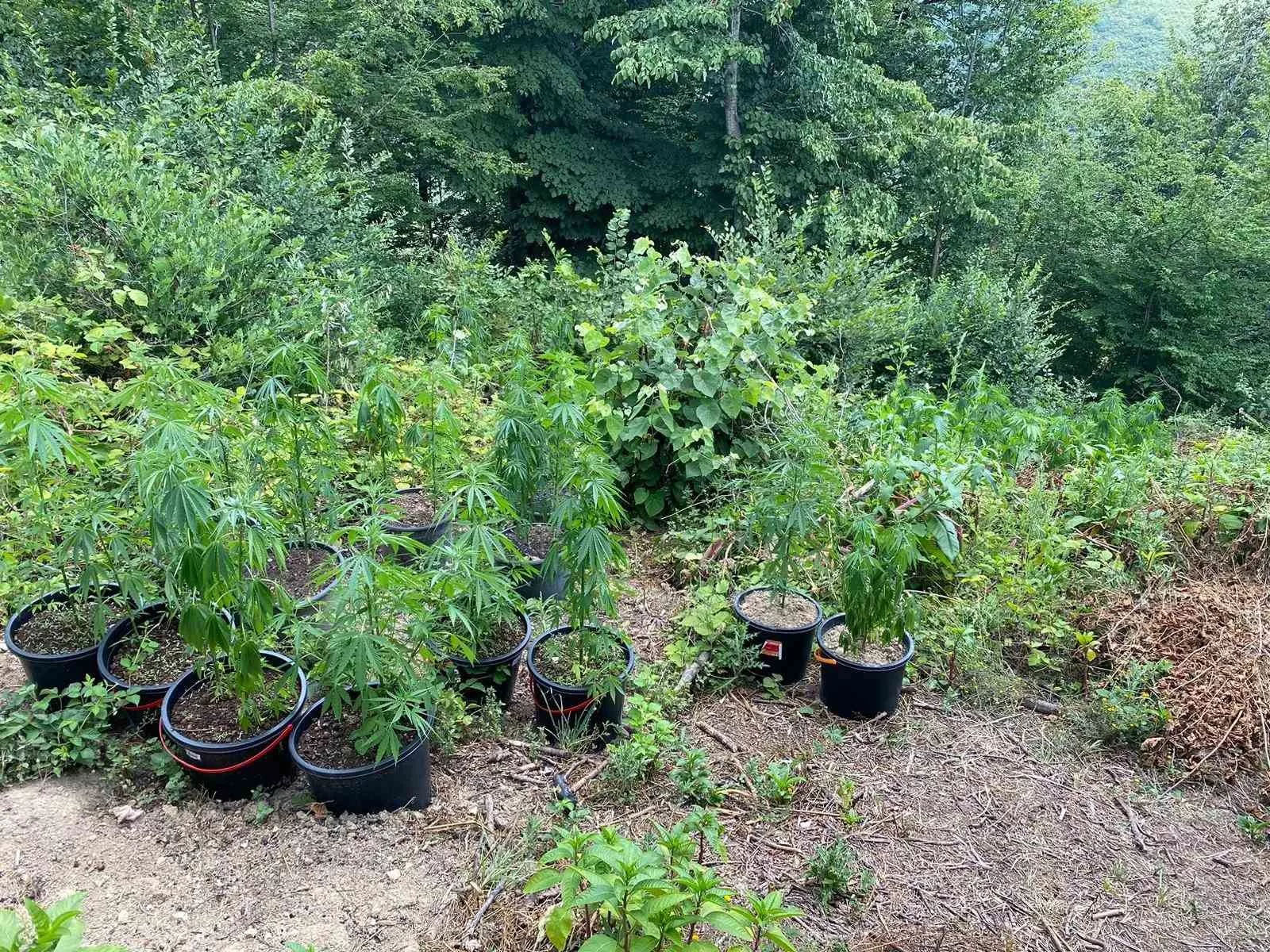 duzcede 33 sahsa uyusturucudan islem yapildi MbD5CWY2 jpg