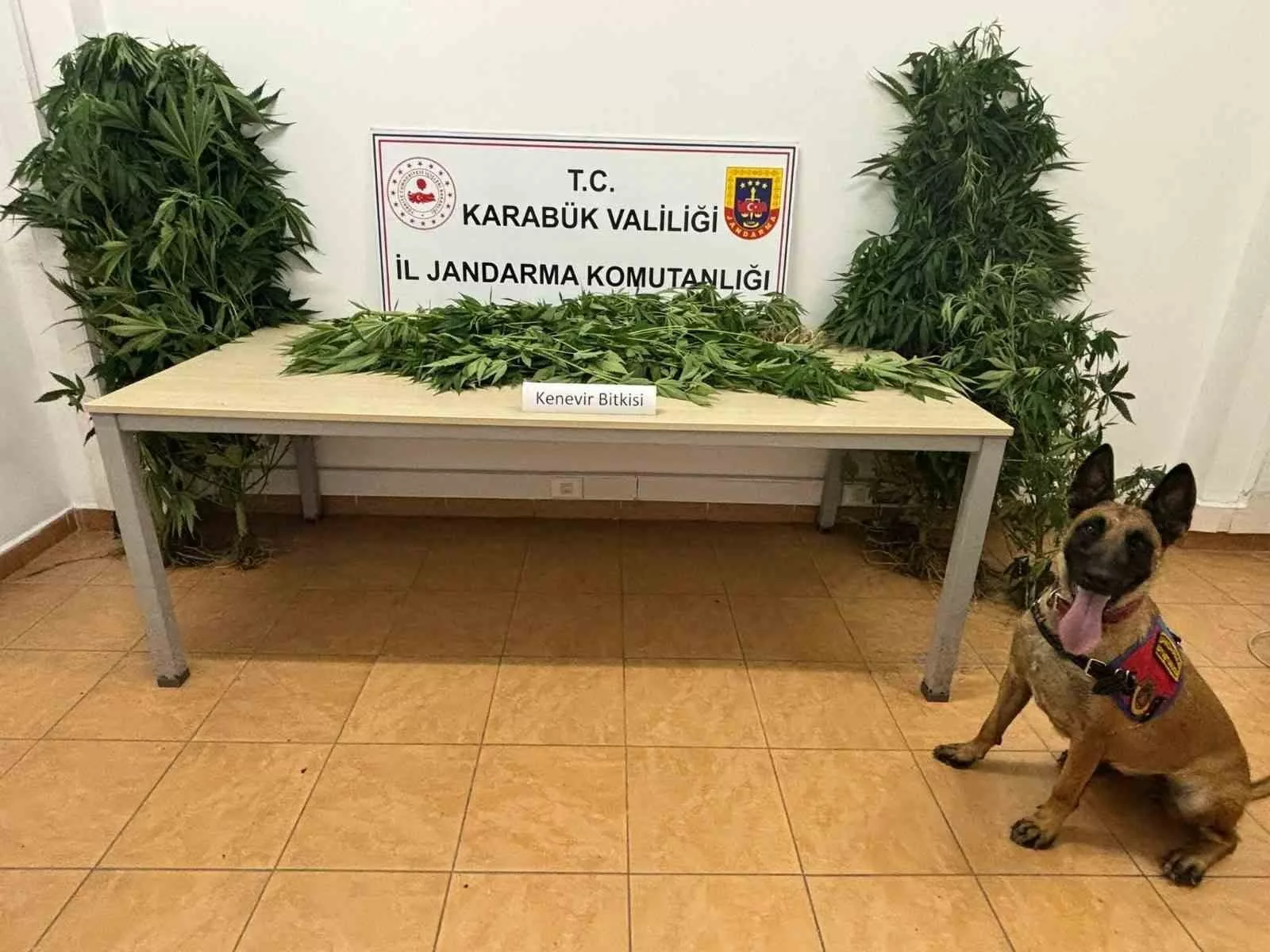 jandarmadan uyusturucu operasyonu rsMqQH3H jpg