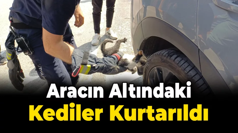 Aracının altına giren kedileri itfaiye çıkardı