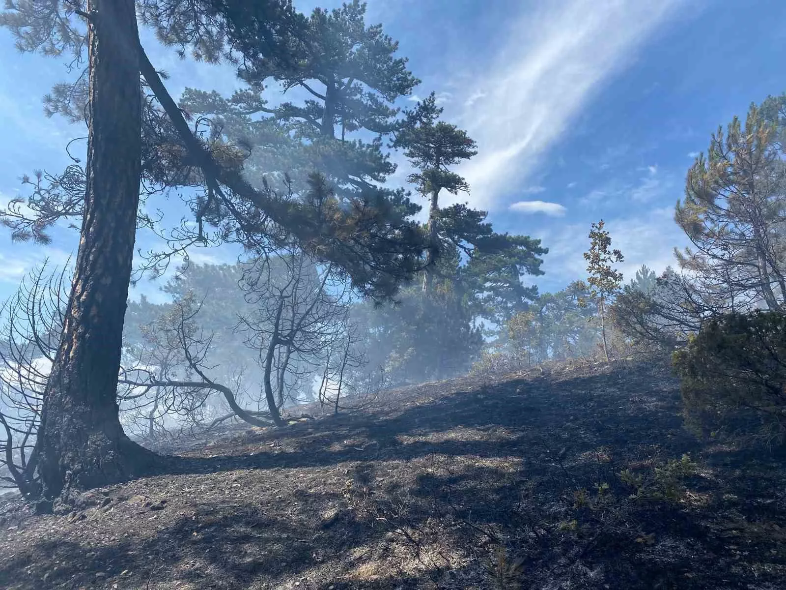 ormanlik alanda cikan ortu yangini korkuttu b2FiXyDb jpg