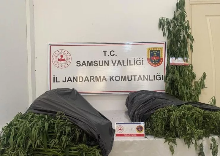 Samsun’da jandarmadan uyuşturucu operasyonu: 3 gözaltı