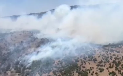 Manisa’da orman yangını