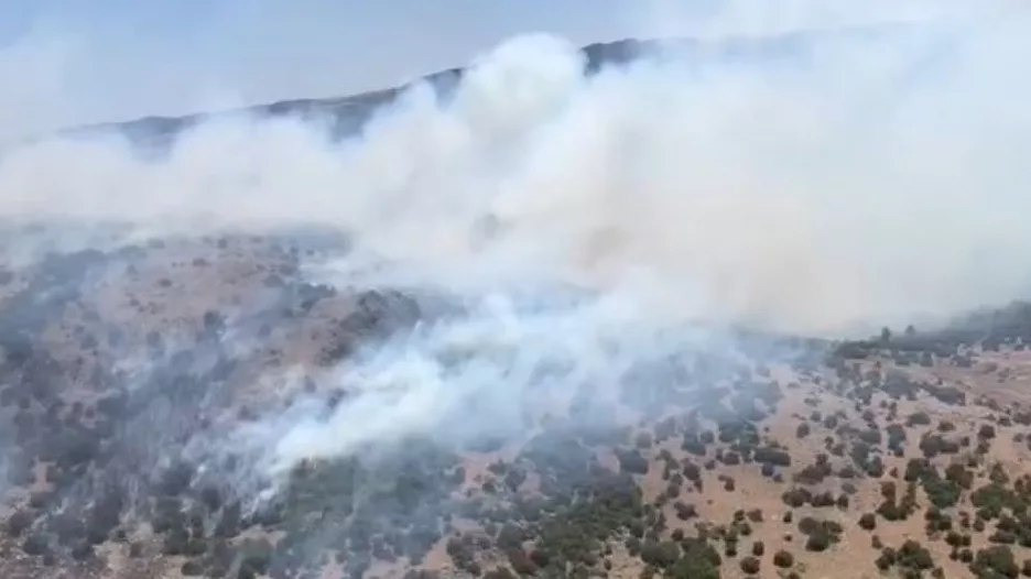 Manisa’da orman yangını