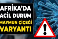 Afrika, Maymun Çiçeği Nedeniyle Acil Durum İlan Etmeye Hazırlanıyor