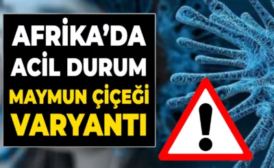 Afrika, Maymun Çiçeği Nedeniyle Acil Durum İlan Etmeye Hazırlanıyor