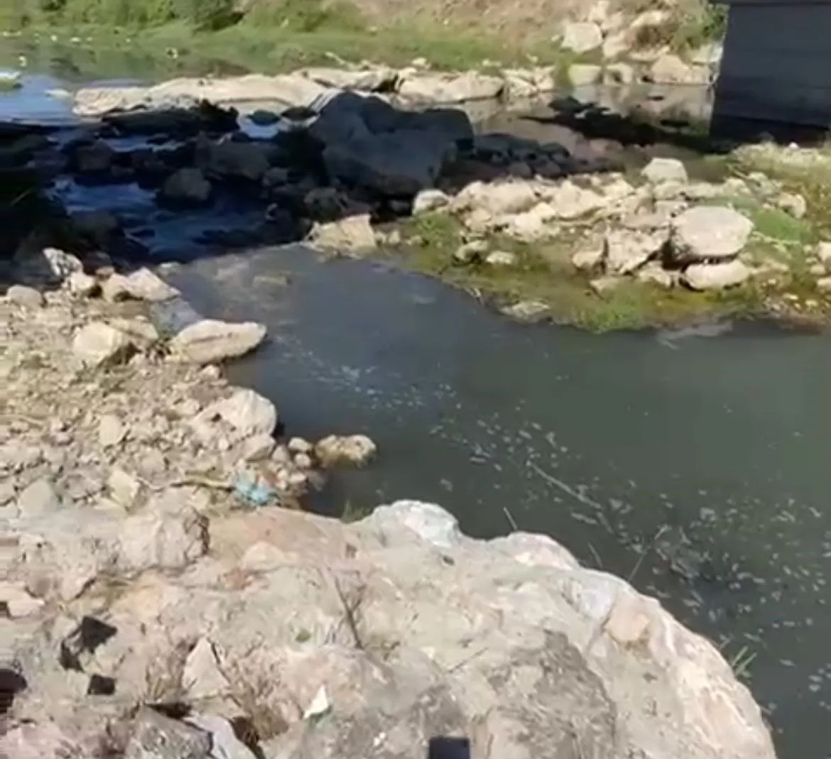 atik suyunu dereye desarj eden patates fabrikasina ceza 87sOyLIa jpg