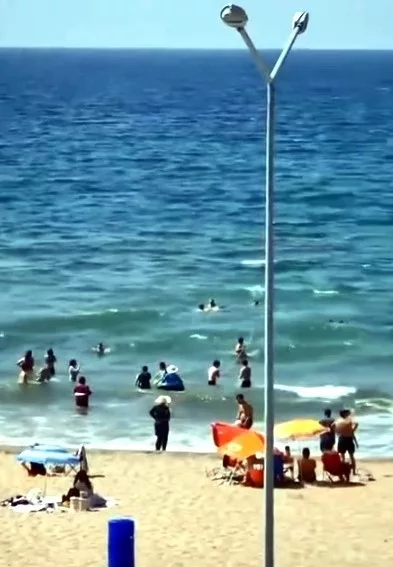 sahilde buyuk panik Whg2NIq6 jpg