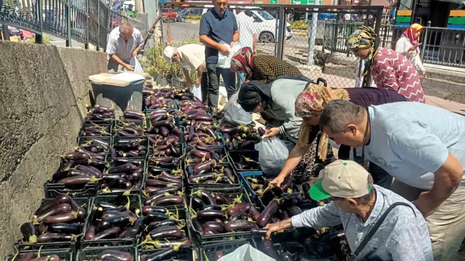 uretim fazlasi 5 ton patlicani yuzlerce kisiye bedava dagittilar 9CFElqSu