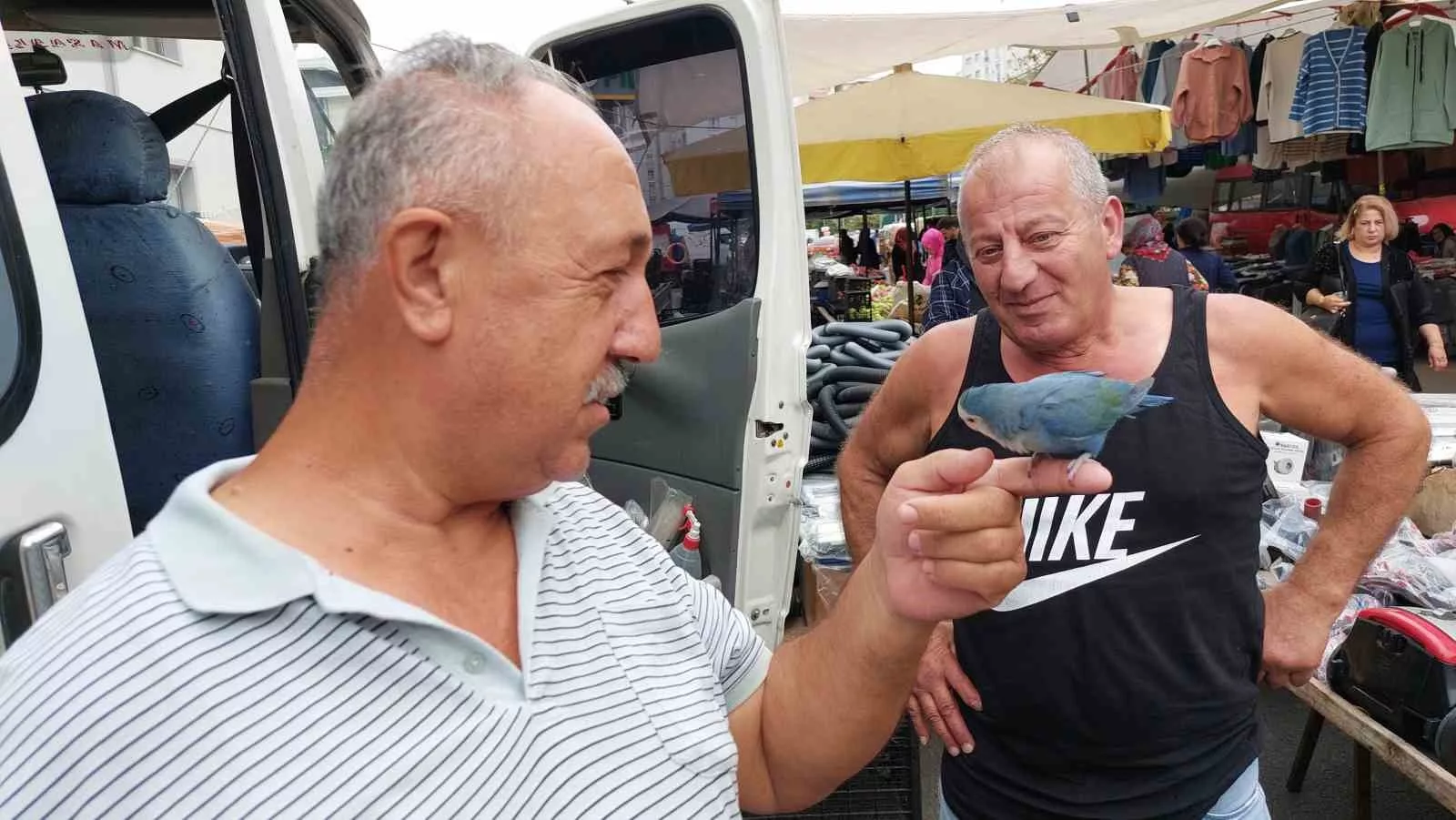 2 yildir carsi pazar omuzunda sevda papagani ile geziyor jjGUhtJB jpg