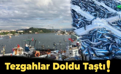 Zonguldak’ta Balıkçılar Tezgahları Şenlendirdi