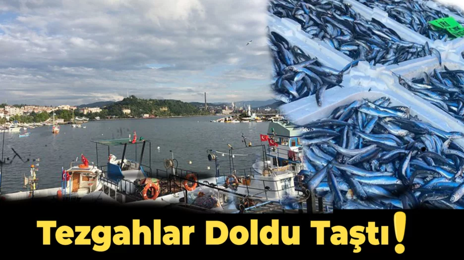 Zonguldak’ta Balıkçılar Tezgahları Şenlendirdi