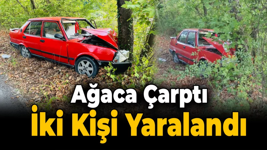 Safranbolu’da ağaca çarpan otomobildeki 2 kişi yaralandı