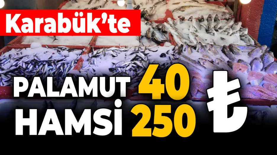 Palamut 40, hamsi 250 liradan tezgahtaki yerini aldı