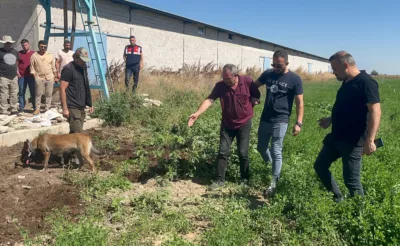 Dayısını Öldürüp Gömdü Başında Ağladı