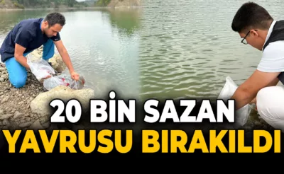 Eflani Göletlerine 20.000 Pullu Sazan Yavrusu Bırakıldı