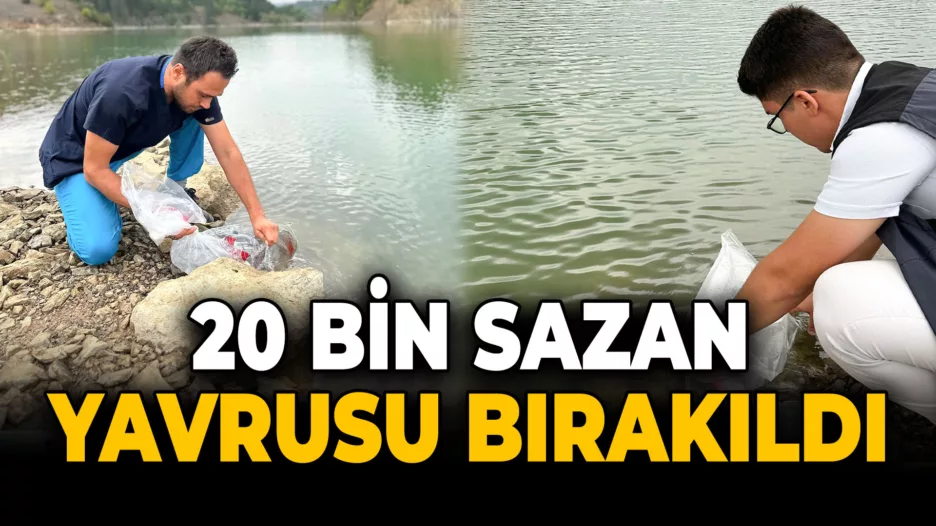 Eflani Göletlerine 20.000 Pullu Sazan Yavrusu Bırakıldı