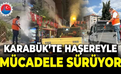 Karabük Belediyesi Sinek ve Haşereyle Mücadele Çalışmalarına Devam Ediyor