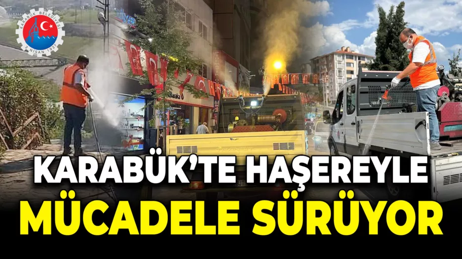 Karabük Belediyesi Sinek ve Haşereyle Mücadele Çalışmalarına Devam Ediyor