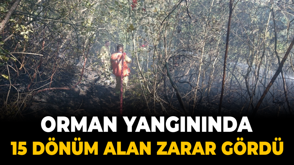 Karabük’te çıkan yangında 15 dönüm alan zarar gördü