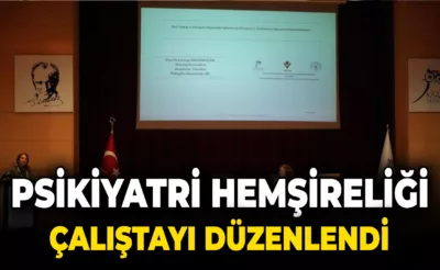 ”Psikiyatri Hemşireliği Eğitimi ve Uygulamasında Neredeyiz?” Çalıştayı Düzenlendi