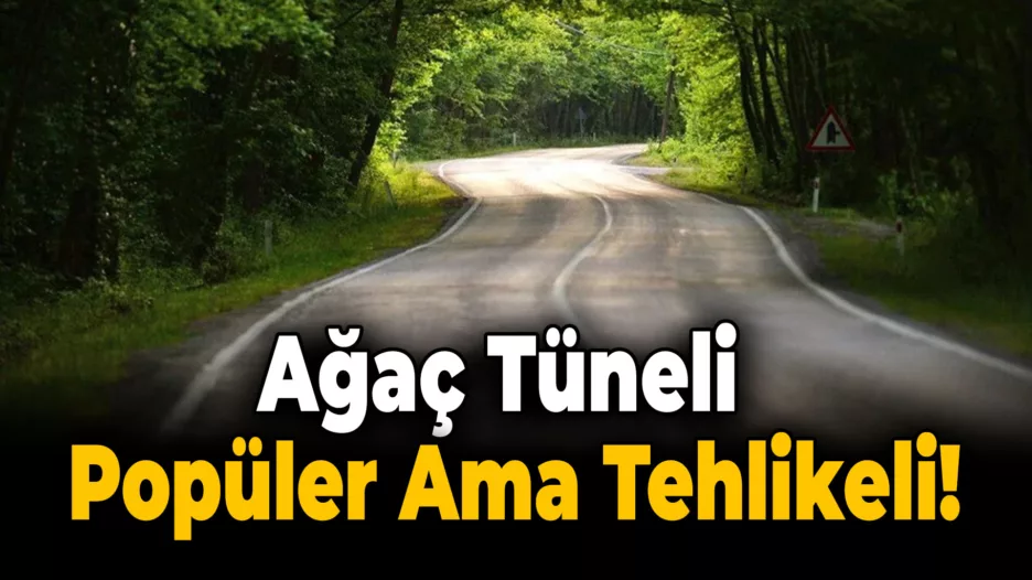 Ağaç Tüneli’nde Dikkat: Kazalar Beraberinde Gelebilir