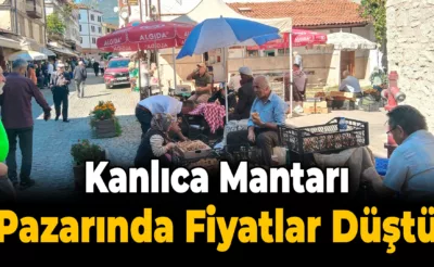 Kasa Kasa Kanlıca Mantarında Fiyatlar Düştü