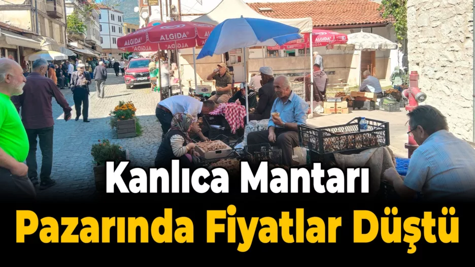 Kasa Kasa Kanlıca Mantarında Fiyatlar Düştü