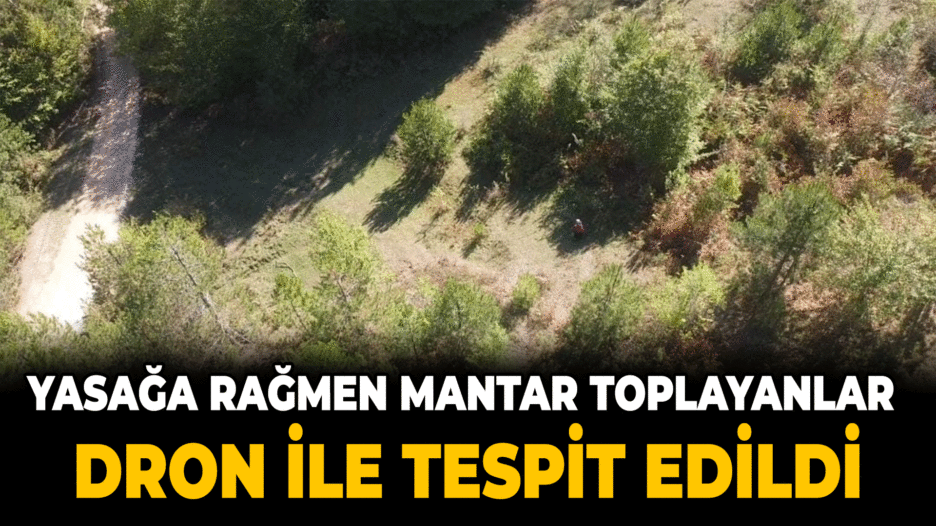 Yasağa rağmen mantar toplamak için ormana girenler dronla tespit edildi