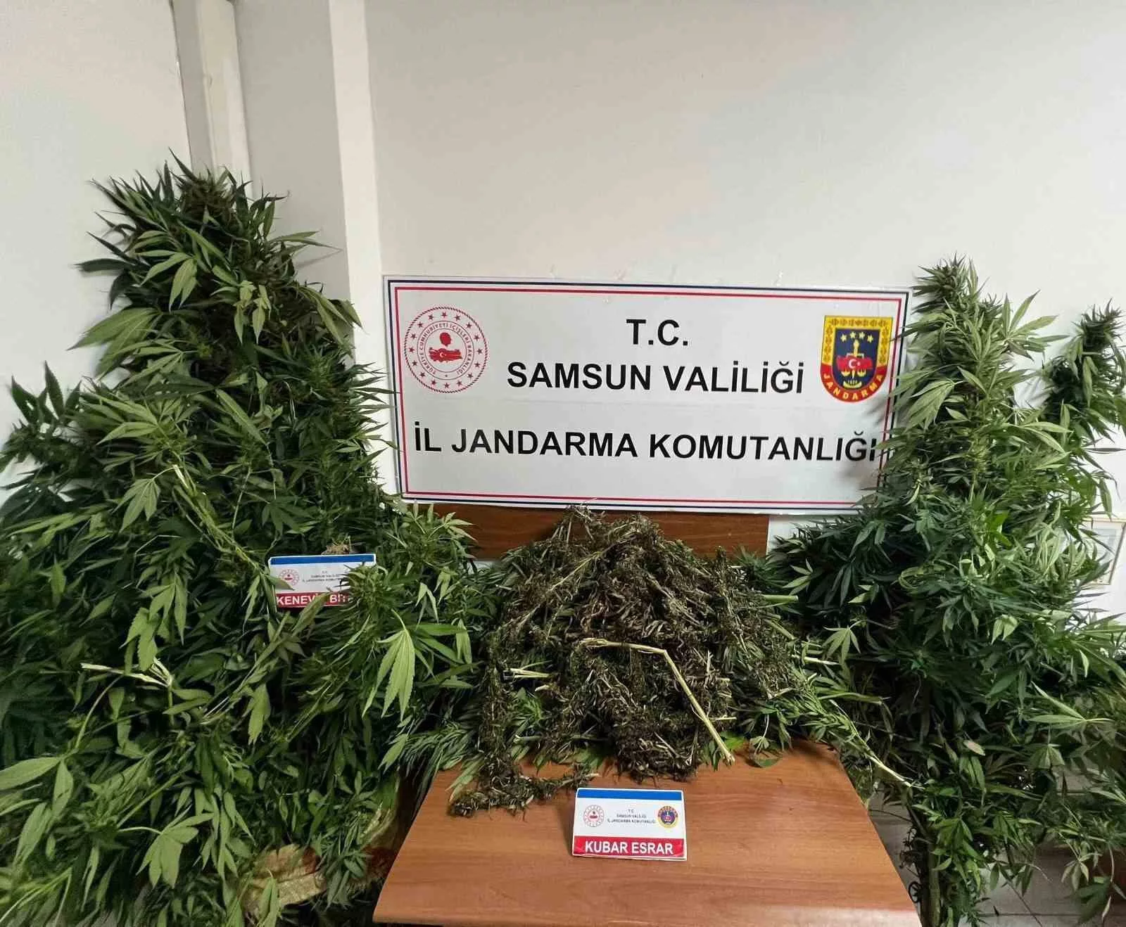 jandarma 7 kilo kubar esrar ele gecirdi xWubyV3g jpg