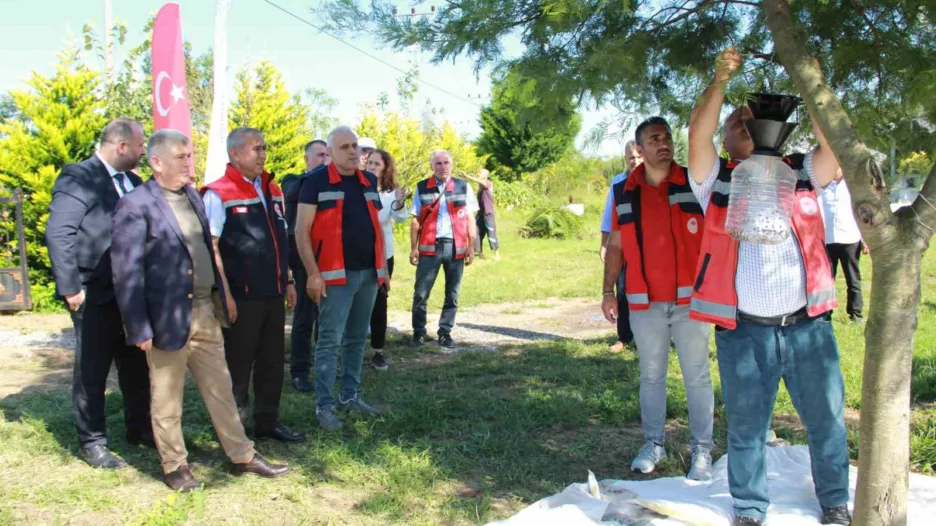 kahverengi kokarca ile mucadele findik bahceleri kislak oncesi ilaclandi maEmVlfs