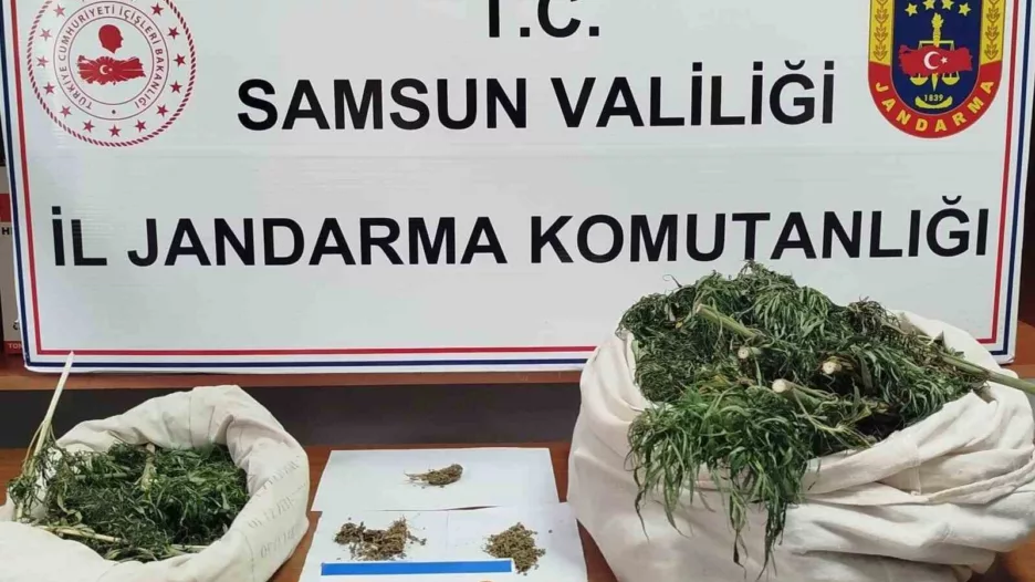 Samsun’da Jandarma 10 kilo kubar esrar ele geçirdi