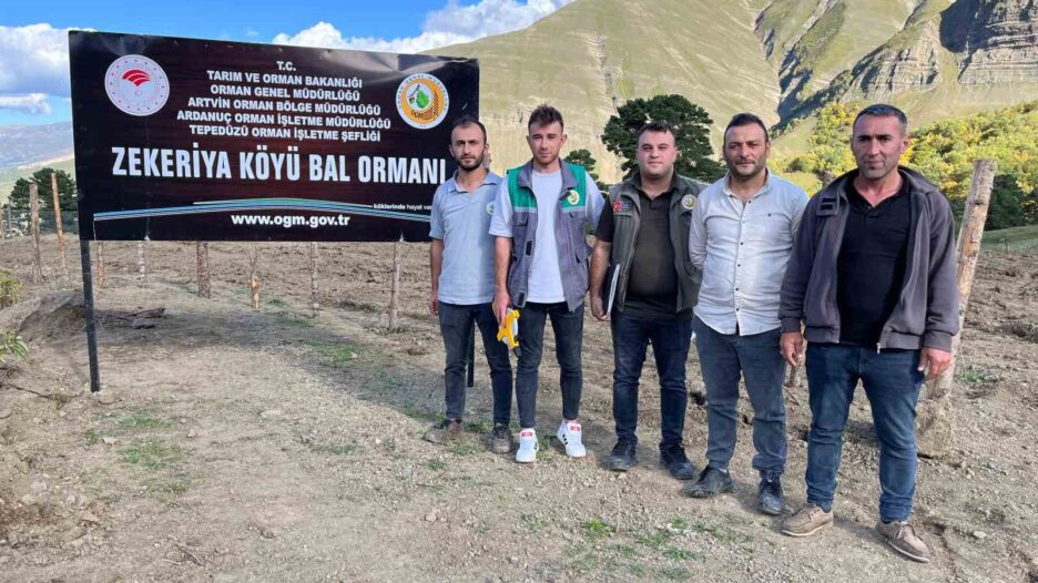 Artvin’de keşfedilen bal, köylünün yeni gelir kapısı oldu