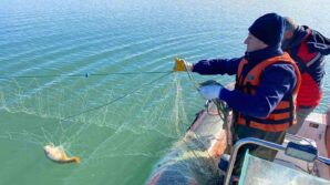barajda 4 kilometre uzunlugunda hayalet ag cikti aga takilan baliklar yeniden suya salindi mMdKqji7