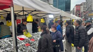 istavritin bollugu fiyatlari dusurdu dW2Nrygx