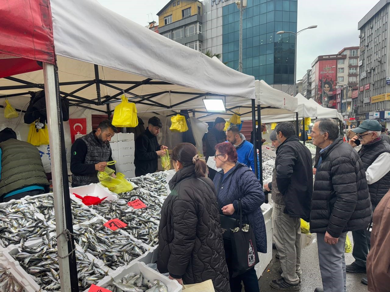 istavritin bollugu fiyatlari dusurdu