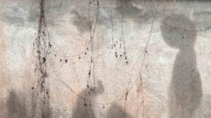 nesli tukenmekte olan vasak sehre indi EZdRCcmv