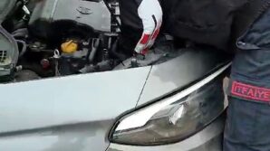 otomobilin kaputuna giren kedi yavrusunu itfaiye ekipleri kurtardi sJCkSUCW