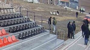 polisten kaz dovusu baskini 70 kisiye ceza yazildi AGKpj4mt