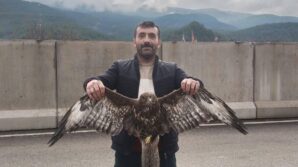 yarali sahin jandarmaya teslim edildi tmjHHNEu