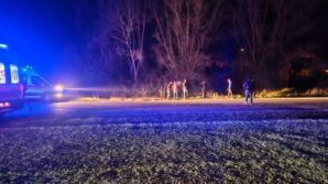 yola aniden cikan domuza carpan otomobil sarampole uctu GKf4cVsW