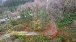 zonguldak ormanlarinda sonbahardan kisa gecis guzelligi yasaniyor mn3yZD8p