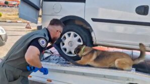 boluda uyusturucuya 9 operasyon yapildi K2XGm6VI