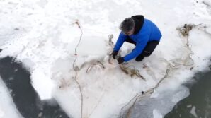 donan golette buzu motorlu testereyle keserek balik avladilar 7v9jvAX1